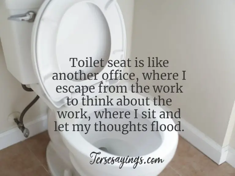 50+ funny toilet quotes