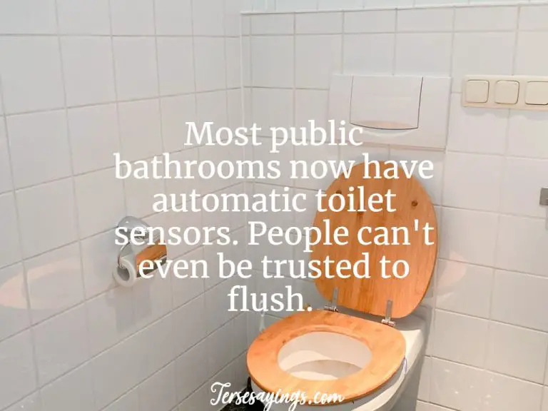 50+ funny toilet quotes