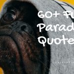 70+ Funny Peace Quotes