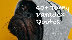 60+ Funny Paradox Quotes