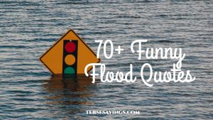 70+ Funny flood Quotes