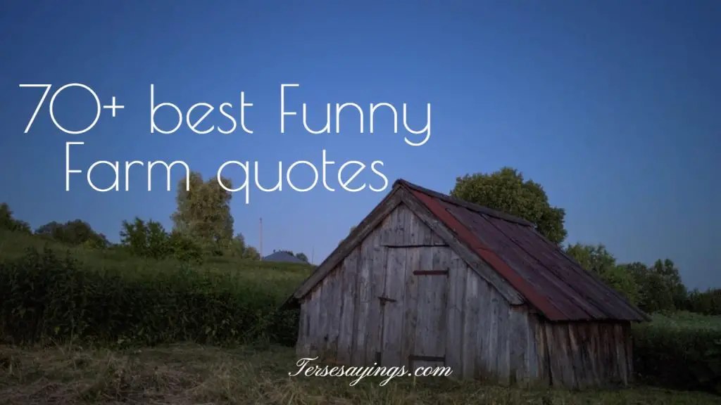 Funny Farm Quotes