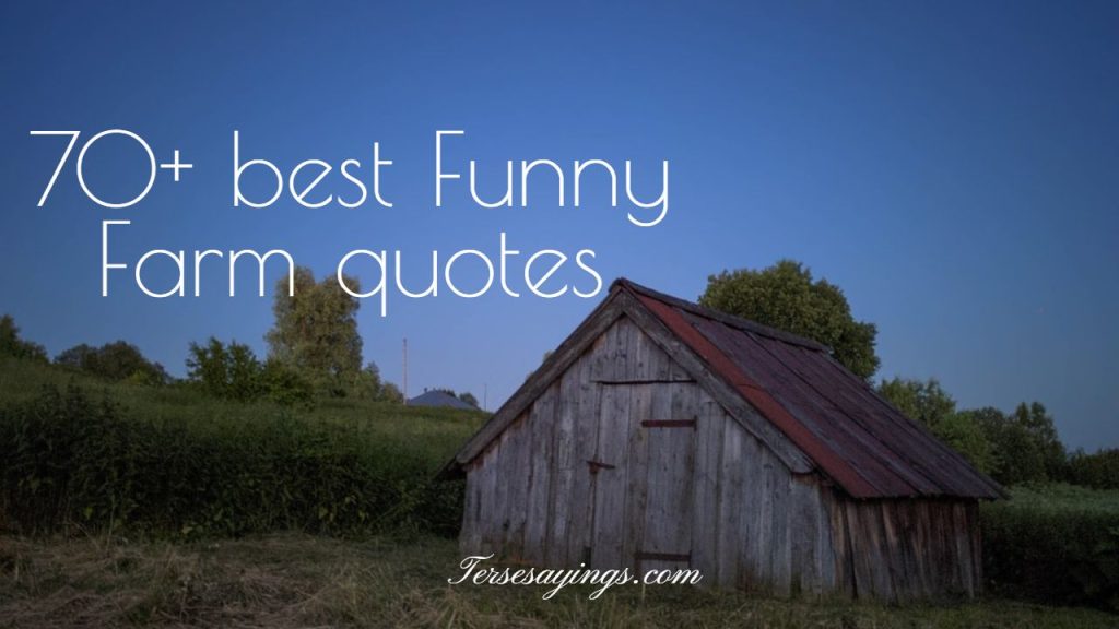 funny-farm-quotes