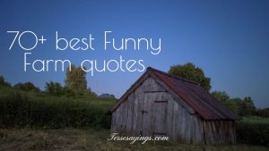 70+ Best funny farm quotes
