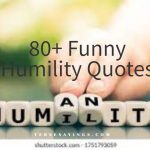 60+ Funny housewarming quotes