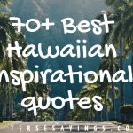 90+Best Inspirational hair stylist quotes