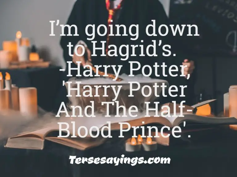 100+Best Funny Harry Potter quotes