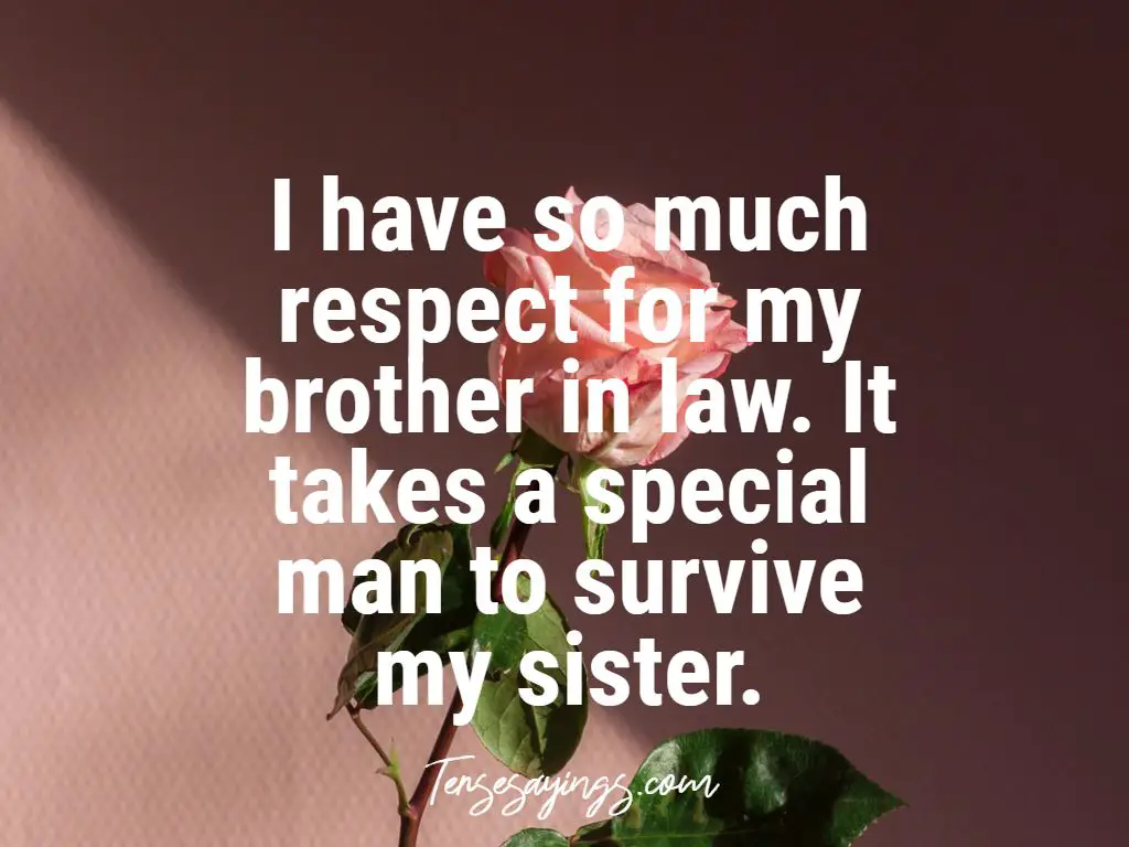 90+ Best Funny Brother in law quotes