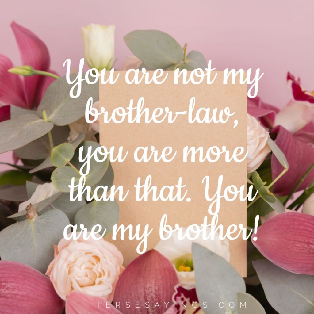 90 Best Funny Brother In Law Quotes