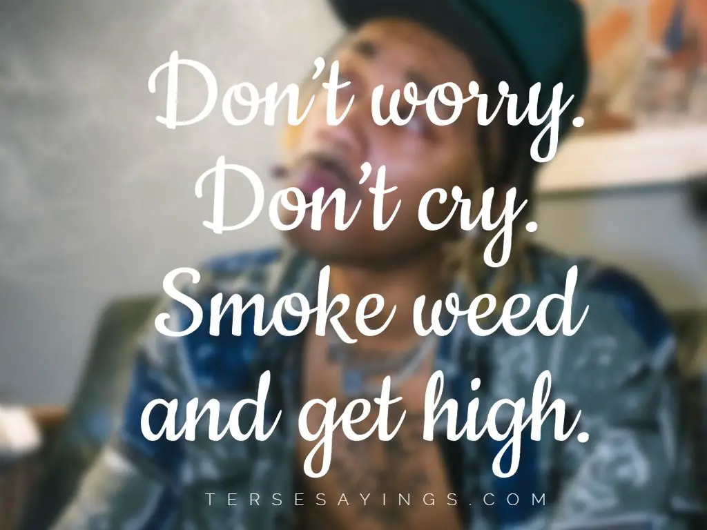 90+ Best Funny Stoner Quotes