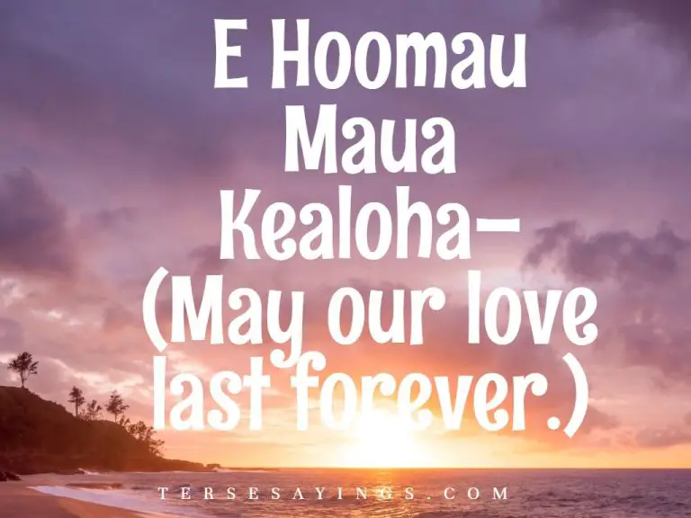 Amazing Funny Hawaiian quotes
