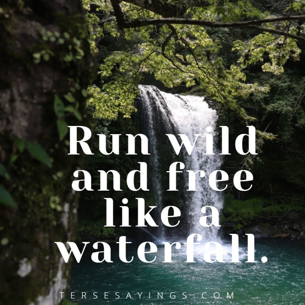 Best Inspirational quotes about waterfall