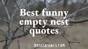 Best Funny Empty Nest Quotes