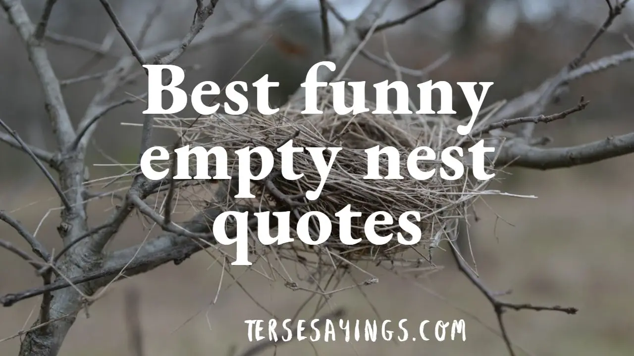 funny empty nest quotes