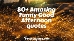 80+ Amazing Funny Good Afternoon quotes