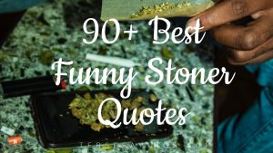 90+ Best Funny Stoner Quotes