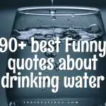 80+ Best Funny flying quotes