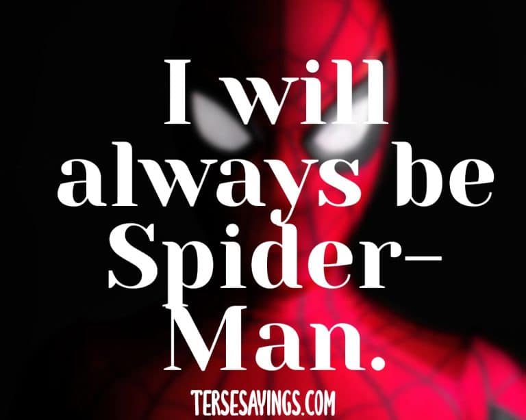 50 Best Inspirational Spiderman Quotes