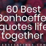 60 Best laws of life quotes