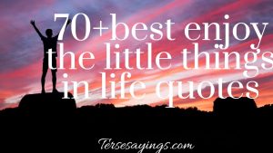 enjoy_the_little_things_in_life_quotes
