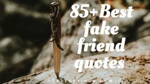 85+ Best fake friend quotes