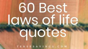 laws of life quotes