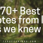 70+ Best second chance at life quotes