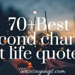 60 Amazing The storied life of Aj Fikry quotes