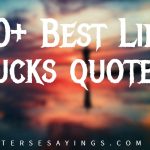 100+ Best simple life quotes
