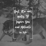 Best 70+ October Quotes To Welcome The Beautiful Month