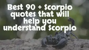 Best 90 + Scorpio quotes that will help you understand Scorpio