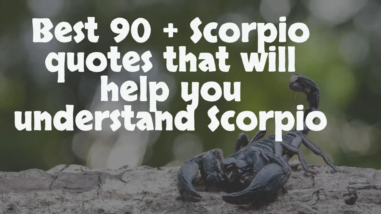 best_90___scorpio_quotes_that_will_help_you_understand_scorpio