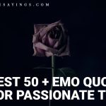 Top 70 + Amazing Broken Trust Quotes That will You Make Think