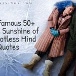 Best 90 + Hippie Quotes That Tell About Freedom