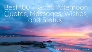 Best 100 + Good Afternoon Quotes, Messages, Wishes, and Status