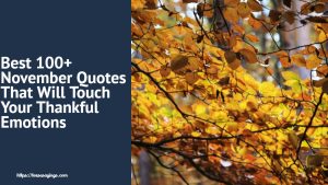 Best 100+ November Quotes That Will Touch Your Thankful Emotions