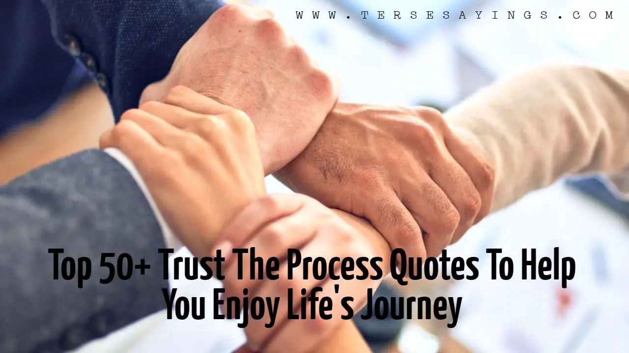 Feature Trust The Process Quotes