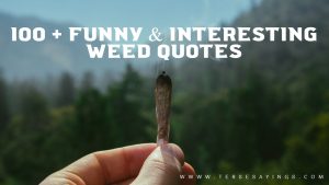 100 + Funny and Interesting Weed Quotes