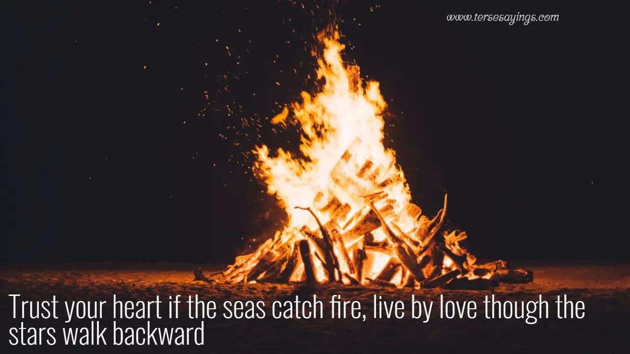 fire_quotes_about_life