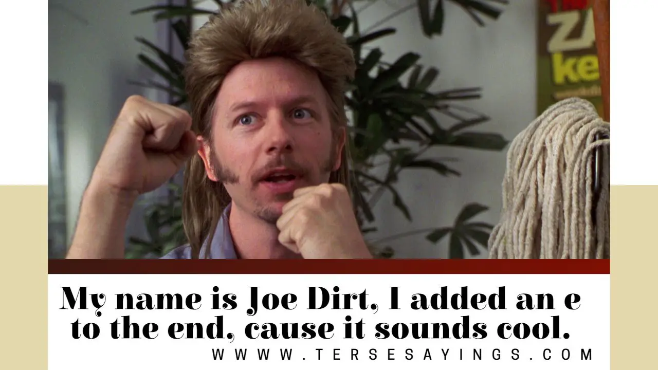 Funny Joe Dirt Quotes