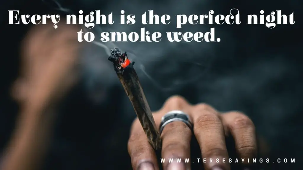 100 + Funny and Interesting Weed Quotes