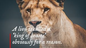 Top best 90+ famous lion quotes that motivate our life