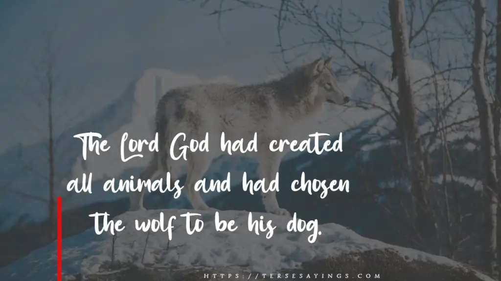 best70+ wolf quotes to inspire you and motivate in life