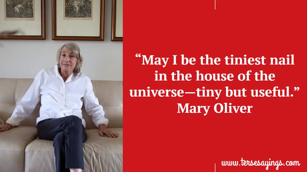 Mary Oliver Quotes on Hope
