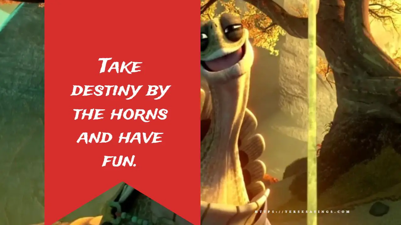 master_oogway_quotes_there_are_no_accidents