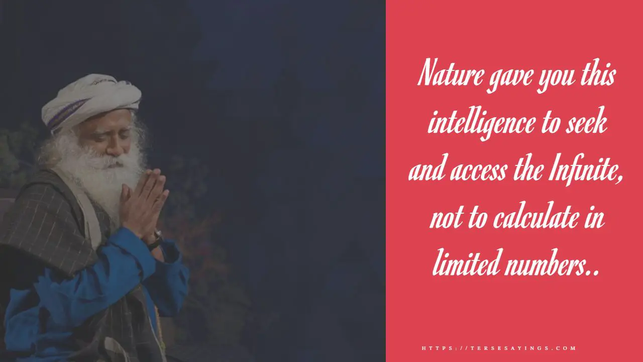 _sadhguru_quotes_on_success