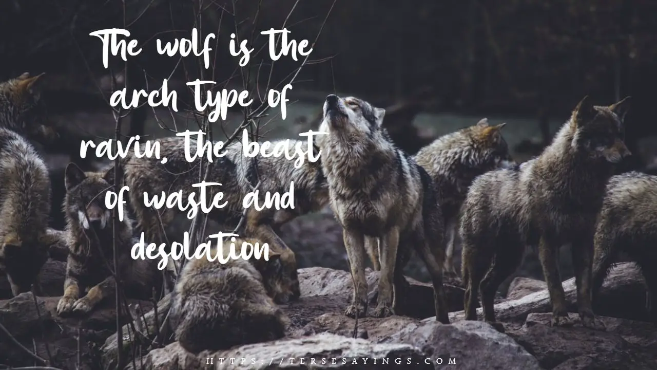 wolf_pack_quotes_wolves_quote