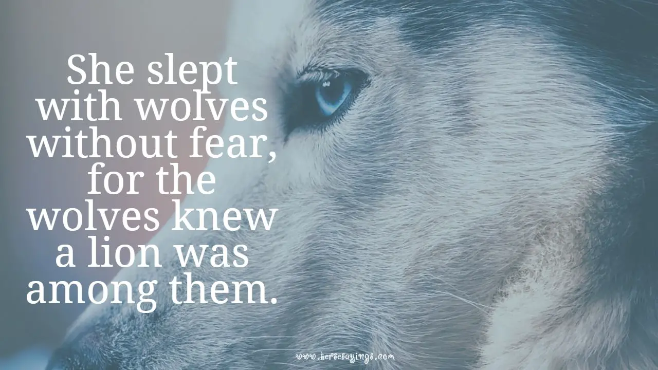 alpha_female_wolf_quotes