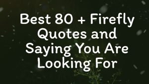 Best 80 + Firefly Quotes and Saying You Are Looking For