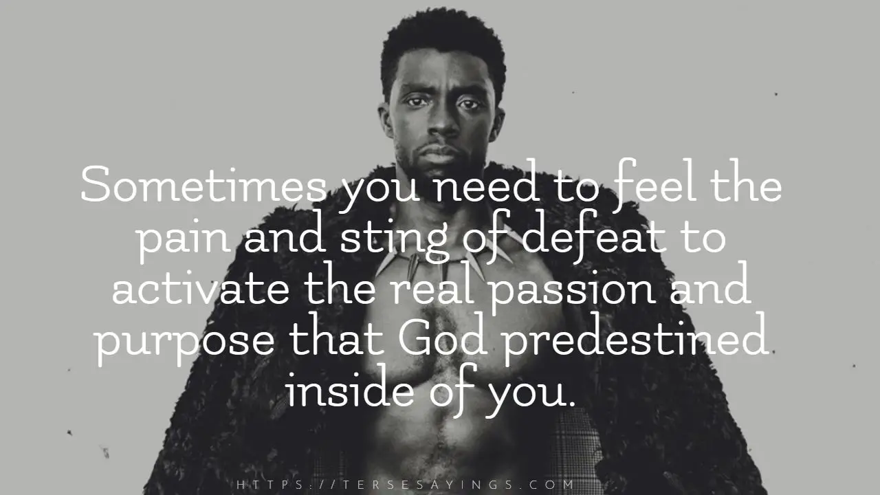 chadwick_boseman_quotes_the_struggles_along_the_way